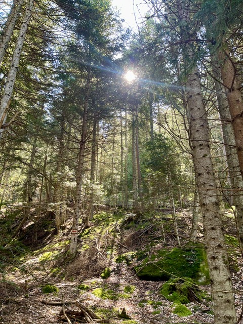 stage de yoga et randonnées dans les hautes alpes