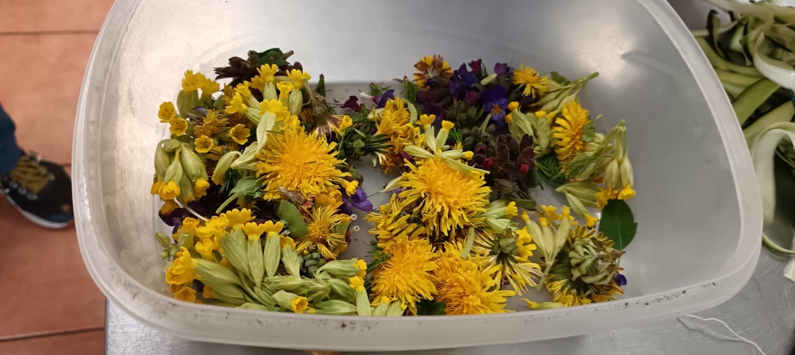 Fleurs d'ortie de la couleur dans les assiettes